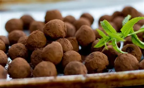 MINT TRUFFLE